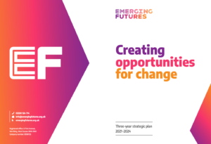 Emerging Futures three-year strategic plan